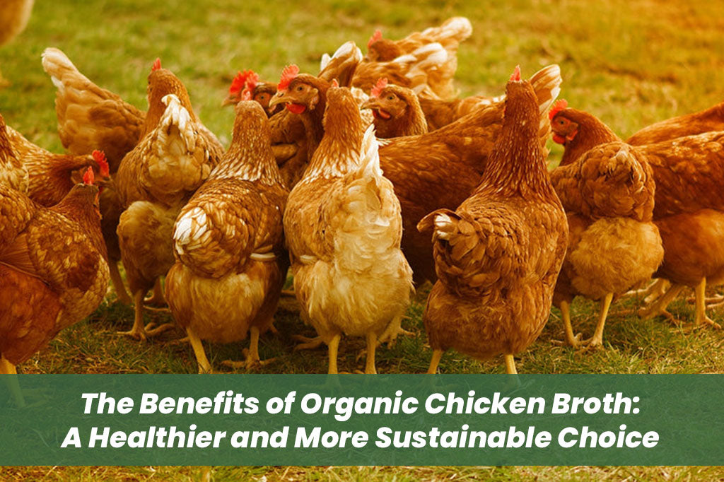 The Benefits of Organic Chicken Broth: A Healthier and More Sustainable Choice
