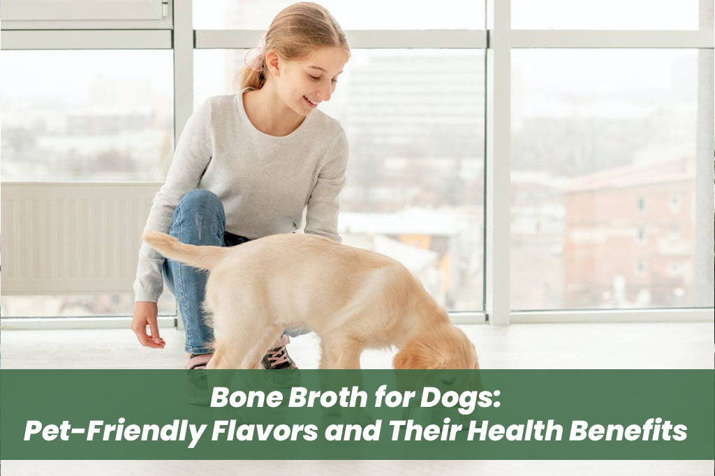 happy girl feeding dog with bone broth in a bowl