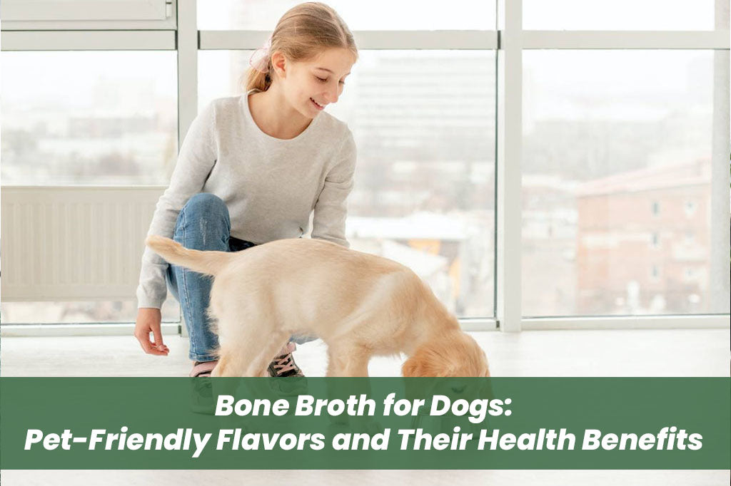 Bone Broth for Dogs: Pet-Friendly Flavors and Their Health Benefits