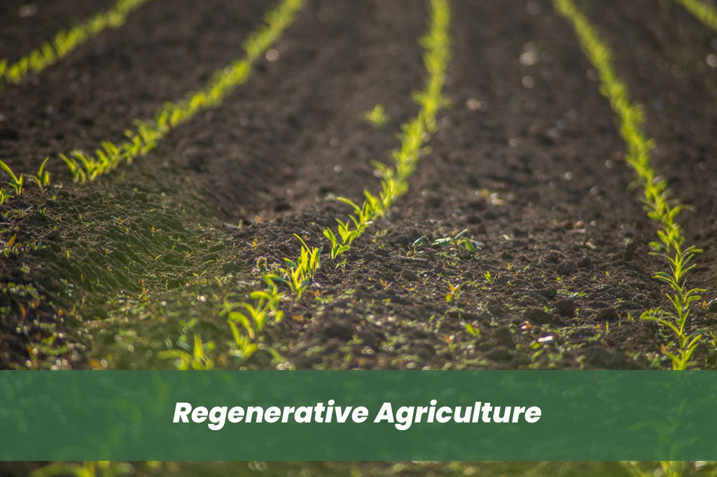 Regenerative Agriculture