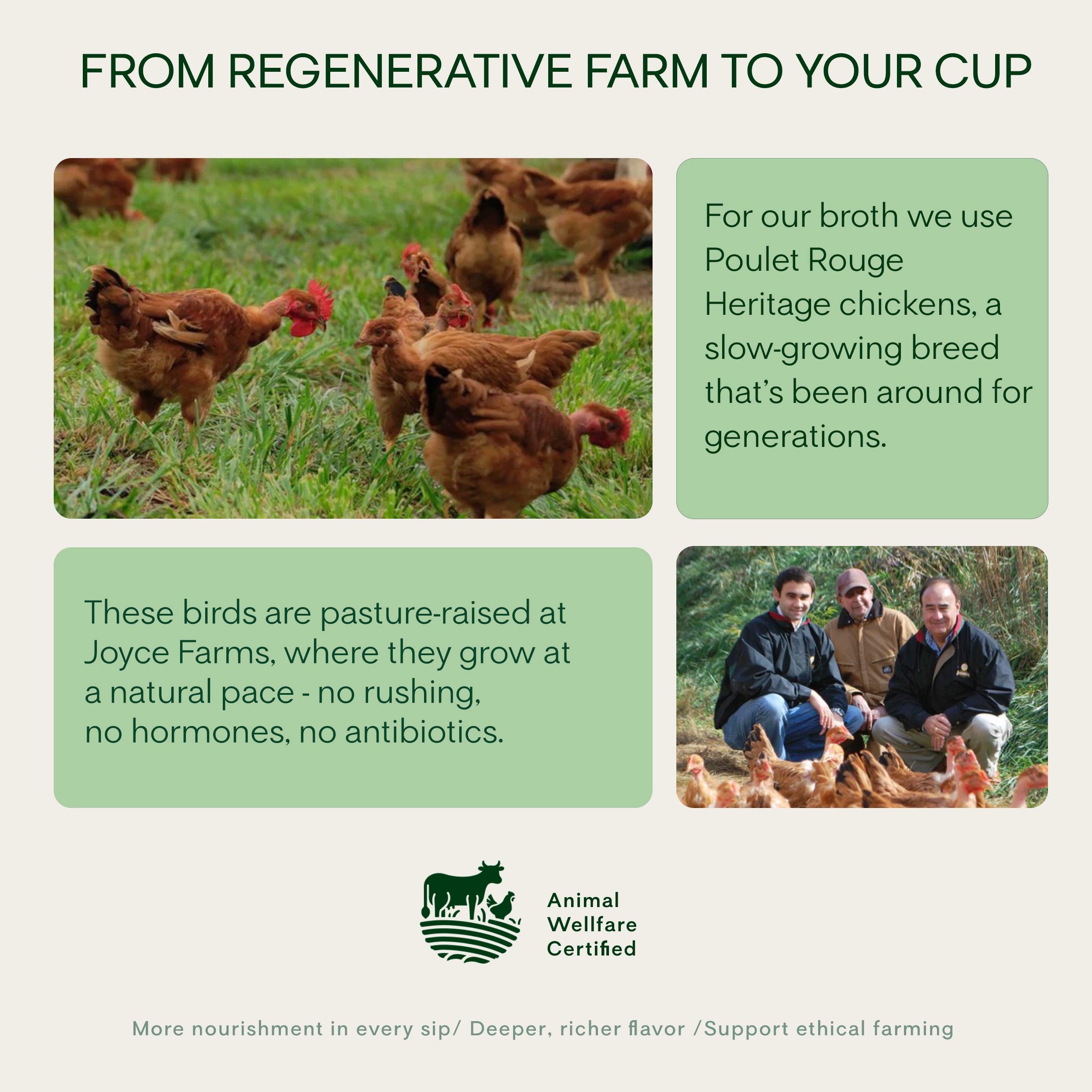 Heritage Chicken Bone Broth (Above Organic)